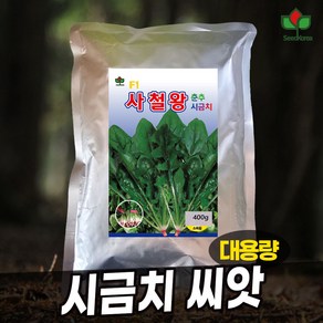 씨드코리아 사철왕 시금치씨앗 400g - 당도 높은 사계절 재배용 대용량, 1개