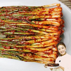 종말이 곽진영 여수 파김치 1kg, 1개