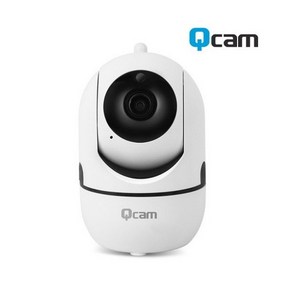 서진네트웍스 QCAM-S10 CCTV IP 카메라, 선택하세요