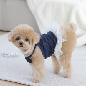강아지 썸머 레이스 나시 원피스 애견 시스루 원피스 옷, 1개, 화이트