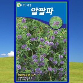 다농 알팔파 씨앗 20g, 1개