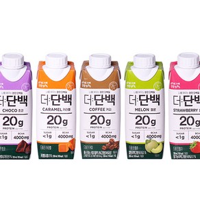 빙그레 더단백 5종 드링크 초코6 커피3 카라멜3 딸기3 메론3, 18개, 250ml