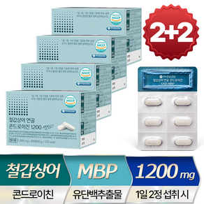 철갑상어 연골 콘드로이친 1200 MBP 저분자 식약청 인증 HACCP, 60g, 4개