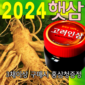 금산인삼아줌마 인삼 (3호)6년난발삼 750g 산지에서 발송 가정용 수삼