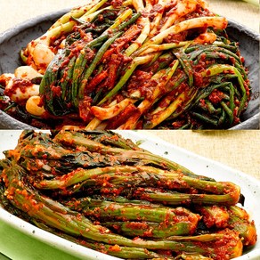 파김치2kg + 갓김치2kg, 1세트, 4kg