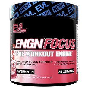 EVLUTIONNUTRITION ENGN 포커스 프리-워크아웃 엔진 수박 맛, 1개, 270g