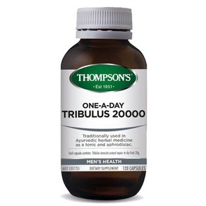 톰슨(Thompsons's) 톰슨 트리뷸러스 (남가새) 20000 원어데이 120 캡슐, 1개, 120정