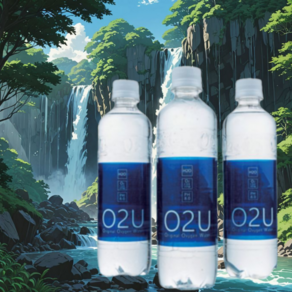 덕양 산소수 속리산 천연 약 알칼리수, 500ml, 80개