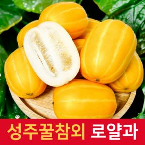 [재구매1위] 과즙폭발 로얄선별 꿀당도 성주참외, 1박스, 5kg(로얄과)
