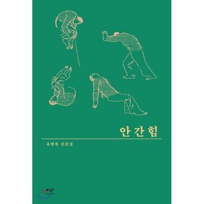 안간힘(큰글자도서), 미디어창비, 유병록 저