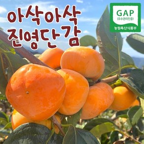 진영 단감 1KG 2.5KG 5KG 5~6... 1박스, 1개