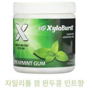 자일로버스트 자일리톨 껌 완두콩 민트 100개 150g(5.29oz) 무설탕 위생사권유, 1개