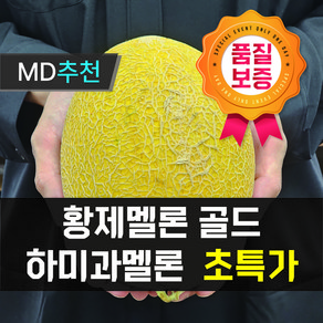 [3일간초특가행사] 황제 골드 메론 하미과 특가행사, 1박스, 1수 (1kg내외)