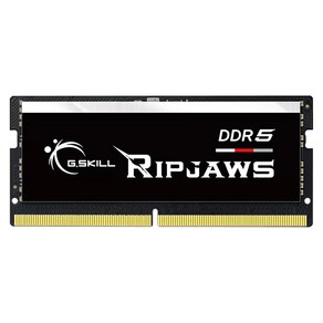 G.SKILL 노트북 DDR5-4800 CL40 RIPJAWS (16GB), 1개