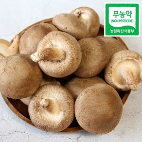 광헌팜 생표고버섯 1kg/2kg/4kg