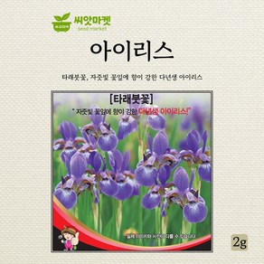 세계종묘 아이리스 씨앗 2g, 1개