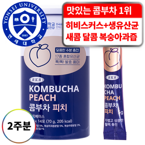 RKR 진짜 맛있는 17종 유산균 혼합 콤부차 피치복숭아, 5g, 14개입, 1개, 5g