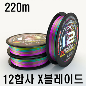 [아프리카피싱] X 블레이드 12합사 220m 5색합사 YGK 라인 민물 바다, 1.0호, 1개