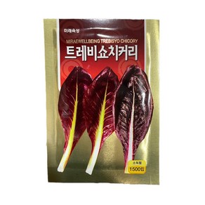 트레비쇼 치커리 씨앗 1500립 [24년포장] 치커리 종자 미래종묘, 1개