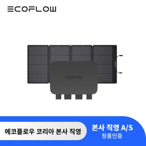 에코플로우 800W 주행충전기 세트!!!, 160W 태양광 패널+800W 주행충전기, 1개