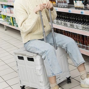 테이키 접이식 폴딩 운반카트 핸드 쇼핑, 1개, 블랙