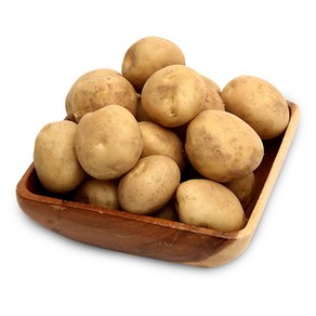 햇살조은 25년 햇 감자, 감자10kg(왕특), 1개