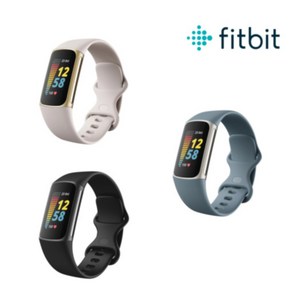 핏빗 차지 5 스마트워치 런닝워치 Fitbit Chage 5, 스틸 블루/플래티넘