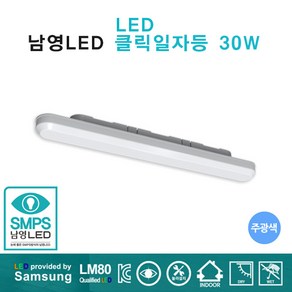 남영전구 LED 클릭 일자등 30W 주광색, 혼합 색상