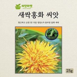 다농 새싹홍화 씨앗 25g, 1개