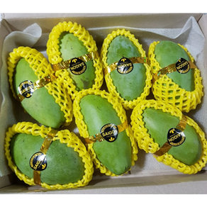 베트남산 아삭아삭 상큼한 생 그린망고 항공직송 망고 mango, 1개, 2.5kg (6-8과)