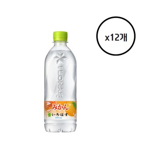 일본 이로하스 귤 맛, 12개, 540ml