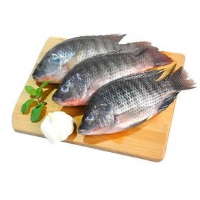 냉동 틸라피아 역돔 Tilapia 1kg (3마리), 1개