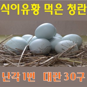 강원고성 자연방사 청란 (대란) 유정란 청계란 (난각1번), 30구, 1개