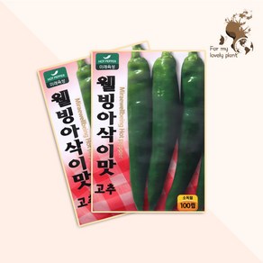 웰빙아삭이맛고추 100립 미래종묘 열매채소류 씨앗, 1개