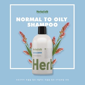 허벌리스테 노멀(지성) 샴푸 500ml (Hebaliste Shampoo Nomal to Oilyhai), 2개, 세럼2/마스크4