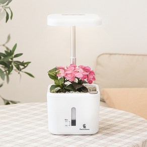 [더케이야생화] 꽃핌 스마트 화분 / 실내등 무드등 식물등, 1개, 화이트