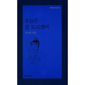 오늘은 잘 모르겠어:심보선 시집