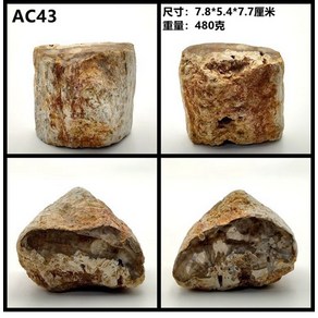 천연 백악기 목화석 나무 화석 규화목 천연목 원석, 레이크블루 AC43