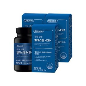 모어네이처 관절 연골 엠에스엠 MSM 900mg 90캡슐 3개