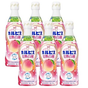 아사히 칼피스 원액 칼로리 복숭아, 6개, 470ml