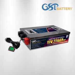 지에스피 GSP 리튬인산철 배터리 12V 220A STEEL