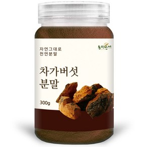 동의한재 프리미엄 러시아 차가버섯 분말 가루, 300g, 1개