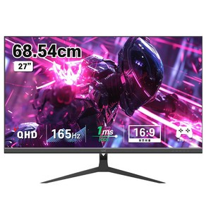 디엑스 69cm QHD 165Hz 게이밍 컴퓨터 모니터 DX270QHD165, DX270QHD165(일반)