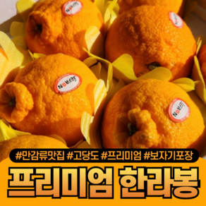 [다정한과일] 만감류 맛집 프리미엄 제주 한라봉 가정용/선물용 (보자기포장), 1세트, (가정용) 5kg 중대과