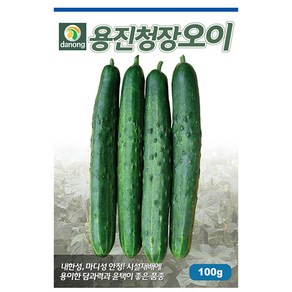 용진청장오이씨앗 50립 청오이 백오이 노각오이 채소 씨앗 다농종묘 식물나라스토어 사은품약수저