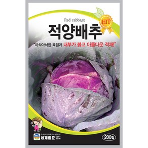 적양배추200립 씨앗 세계, 1개