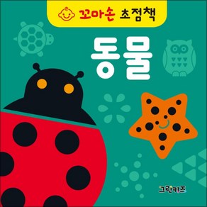 꼬마손 초점책 : 동물, 그린키즈