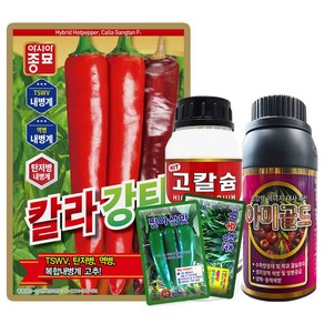 칼라강탄 고추 씨앗 1200립 복합내병계 대과종 조생종 고추씨 종자, 1개