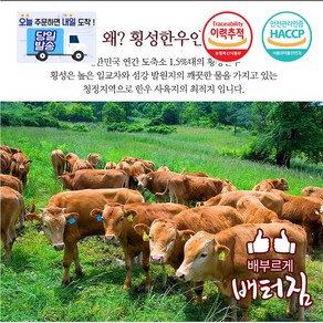 (당일출돼지) (이벤트 상품) 통 횡성 한우 소머리 반마리 9kg내외