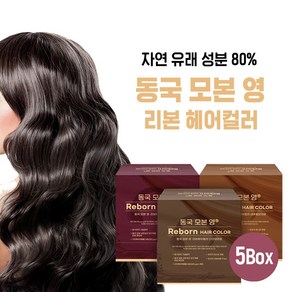 동국모본영 헤어컬러 염색약 5상자 새치커버(색상선택), 5개, 500g, 내추럴2+다크2+와인